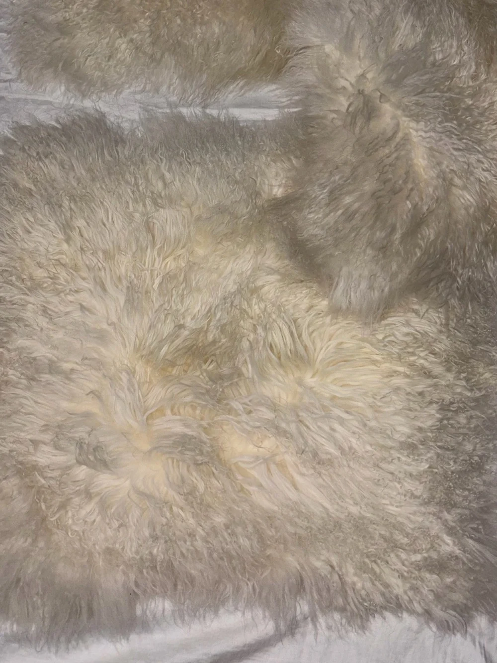 Set of 3 West elm pillow covers lamb fur 24x24” cream ivory luxuriously soft